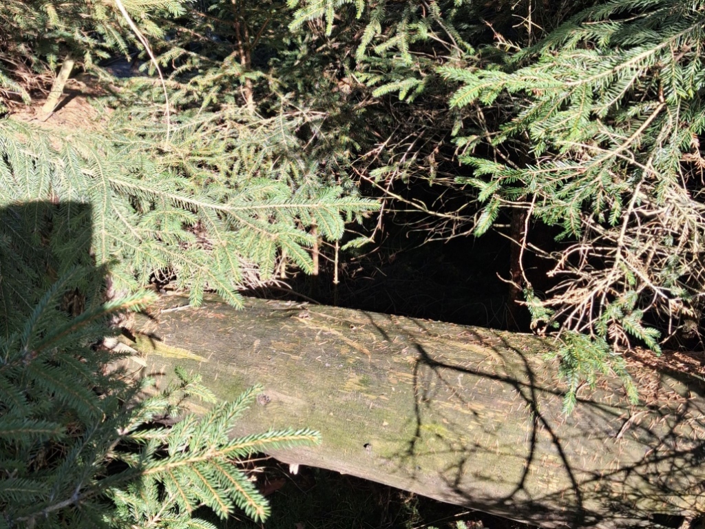 Vorderer Böser Graben