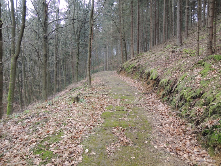 Feld- und Waldweg (60)
